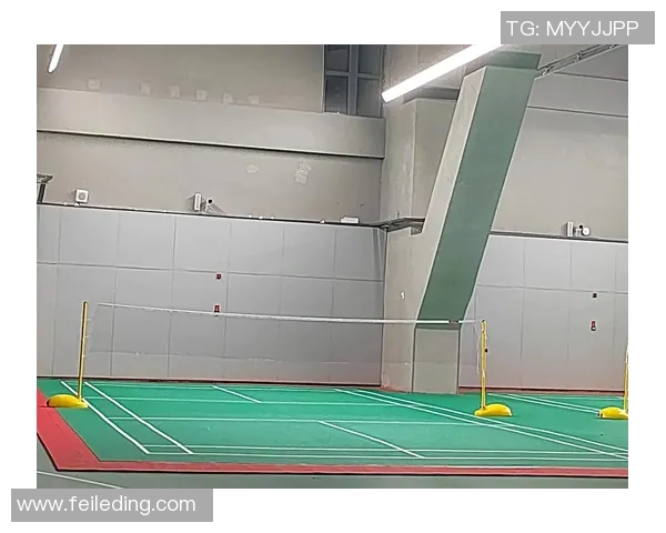 羽毛球运动员伤病康复训练新方法