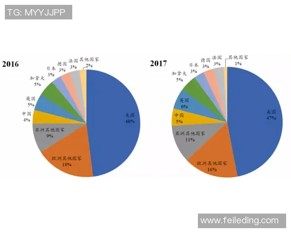 体育文化差异解析：中美对比